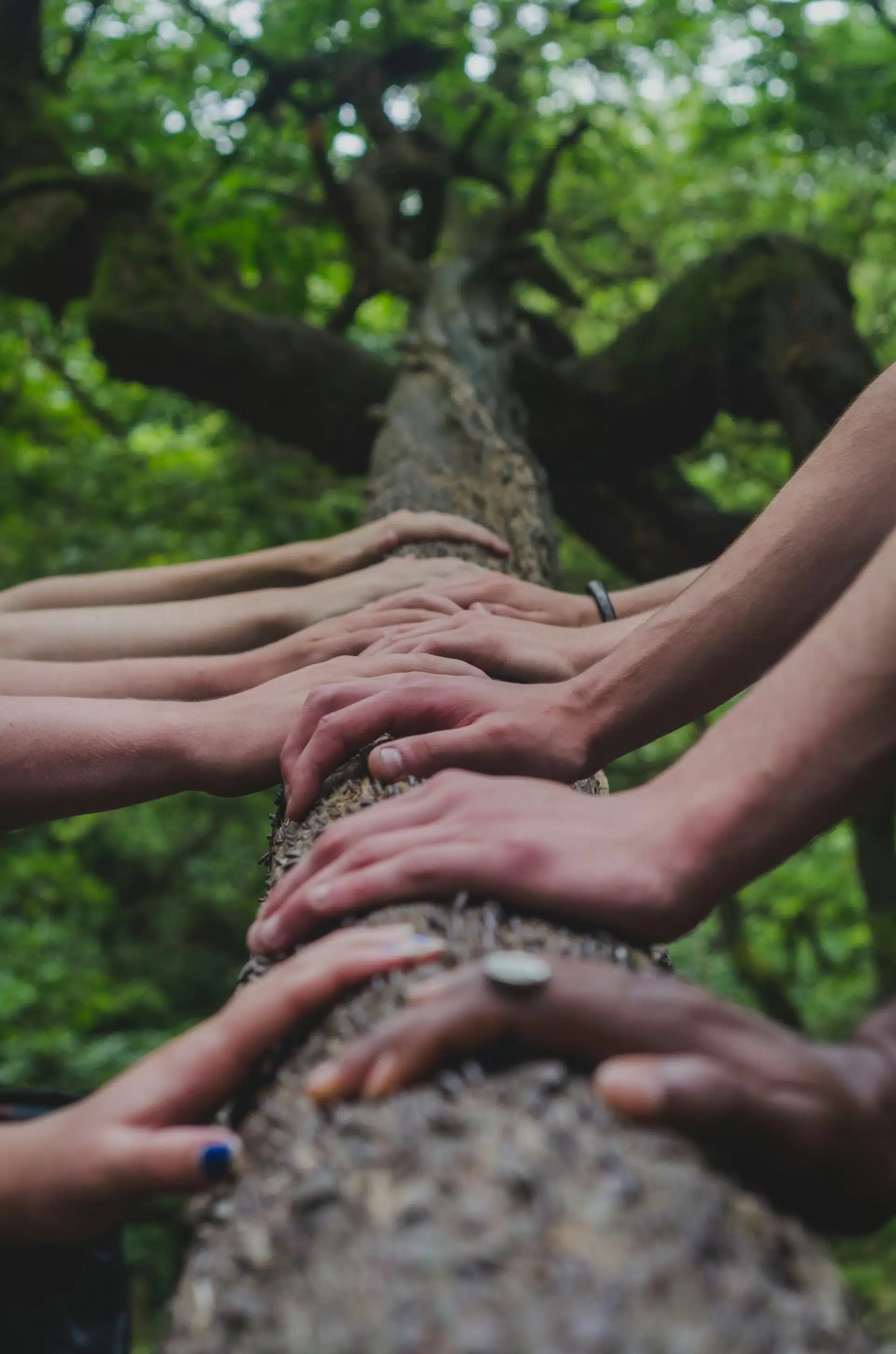 peer-support-hands-mid